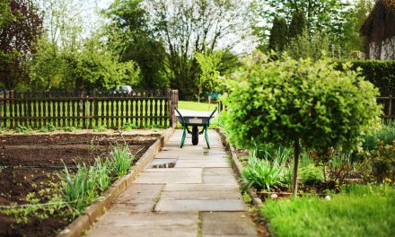 How Hard Is It To Maintain A Small Garden?