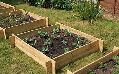 raised beds